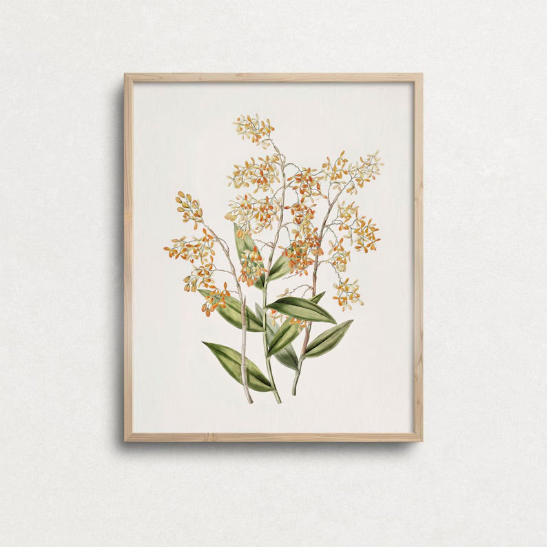 CUADRO FLOWER