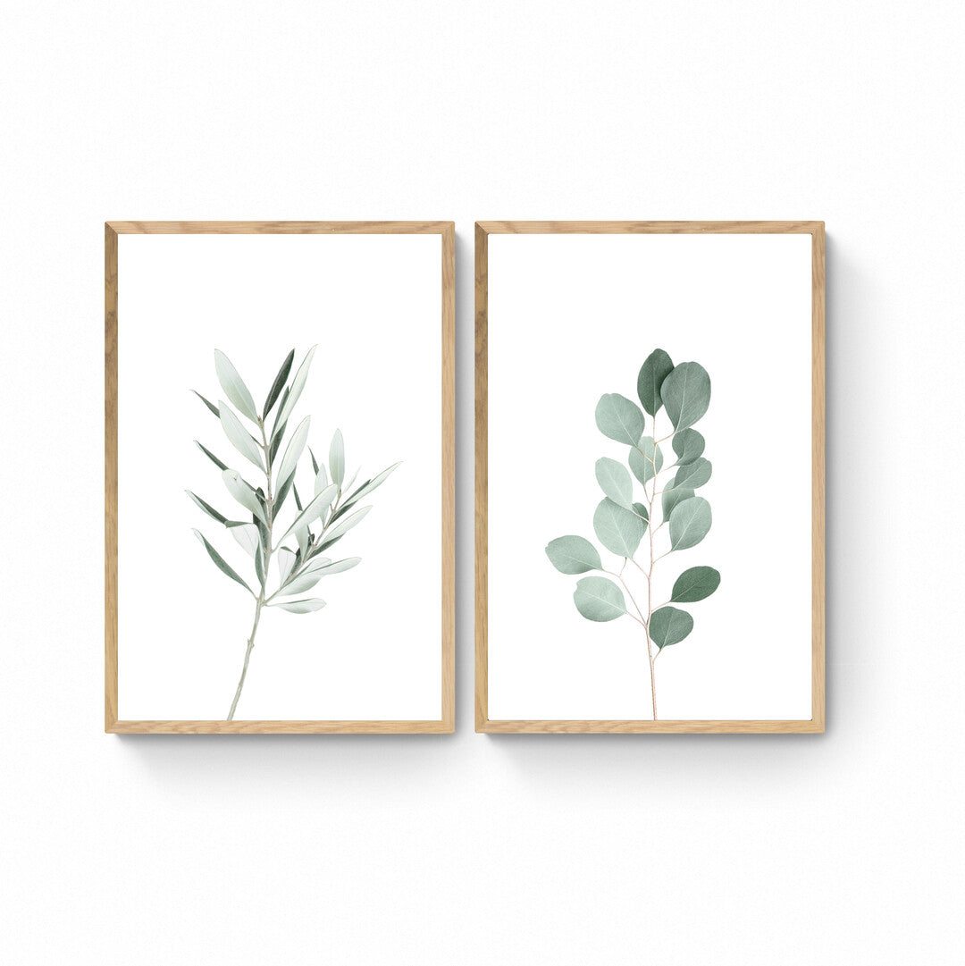 SET PLANTAS X 2 PCS